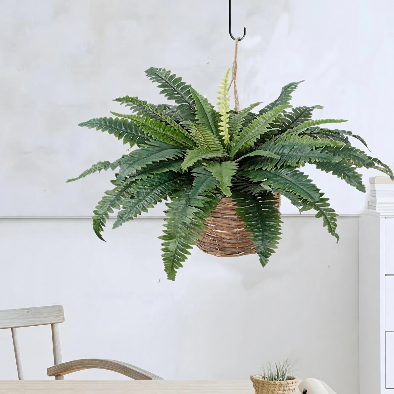 Hanging-Basket Glow-Up: Style a Lush Boston Fern in Small Apartments and Steamy Bathrooms