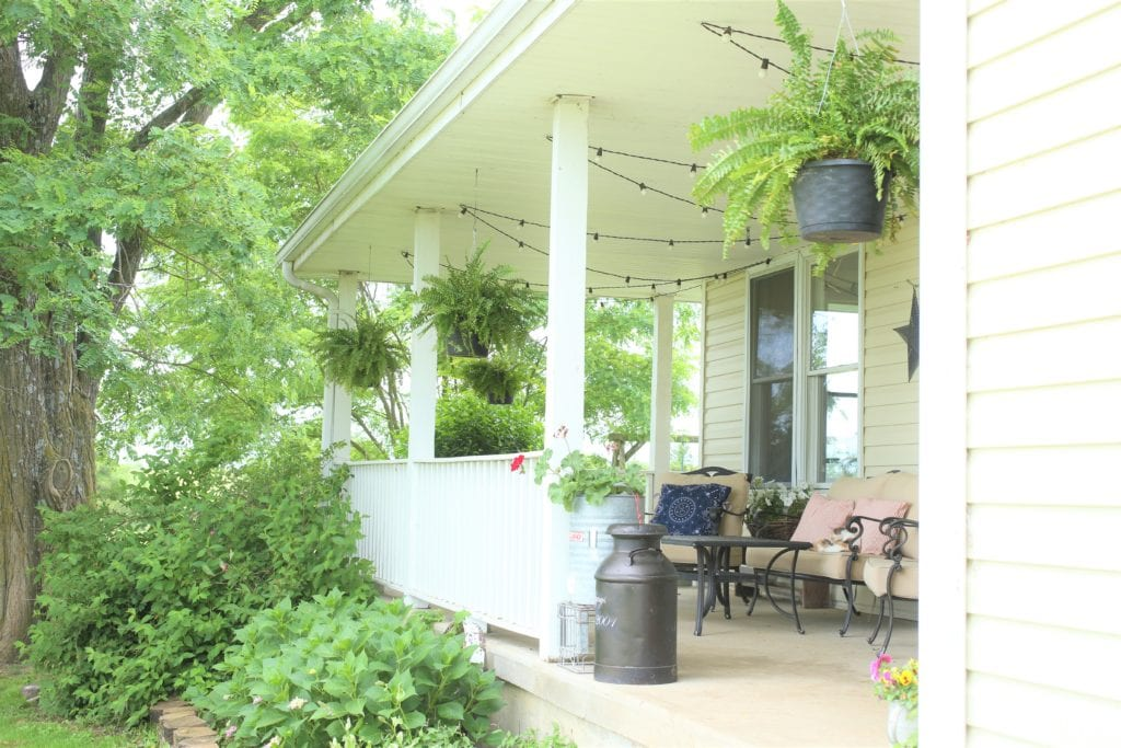 boston fern behind porch railing