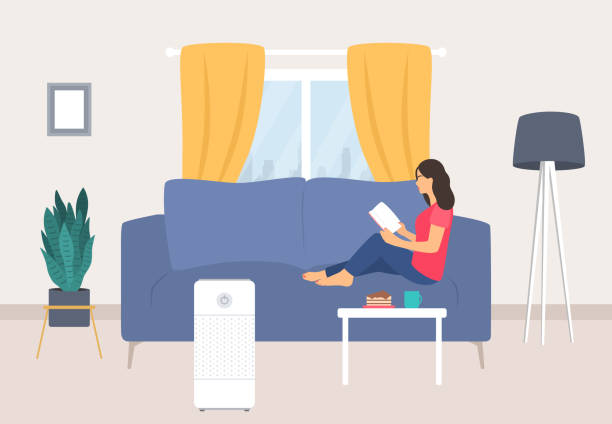 boston fern next to air purifier