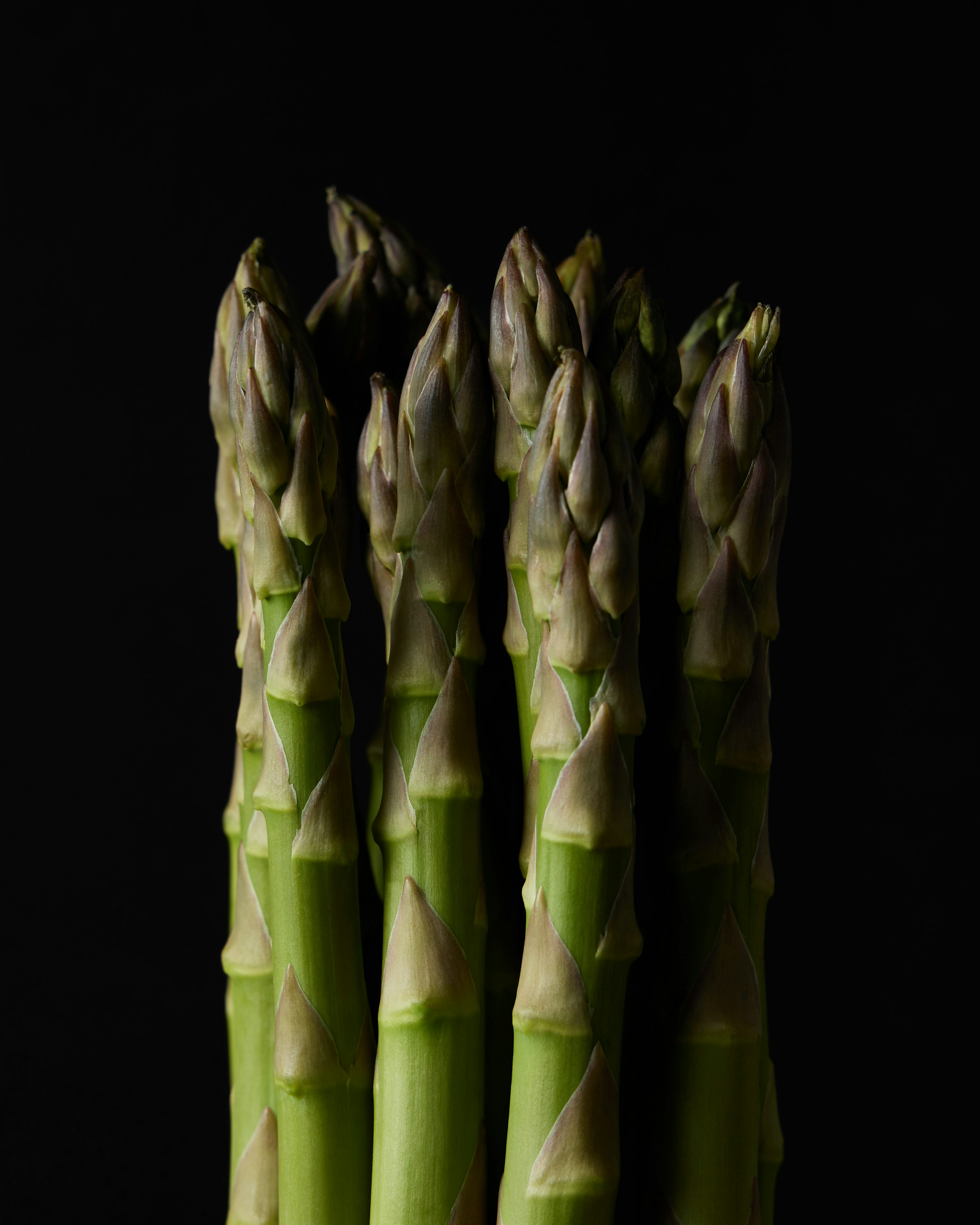 Why Wenzhu Means Grace in Study: Asparagus Fern Flower Language Origins, Feng Shui, and Gift Meaning