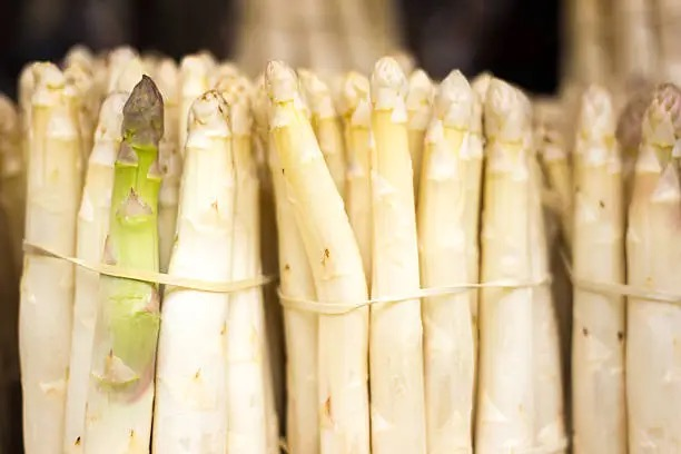 asparagus fern stems at flower market