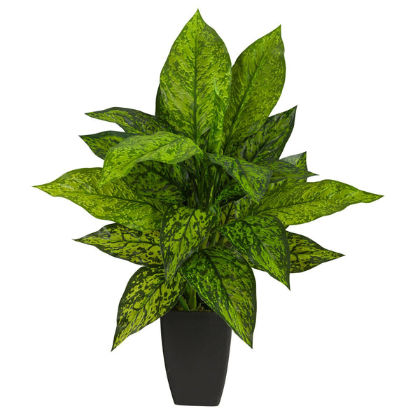 dieffenbachia tall cylinder planter black
