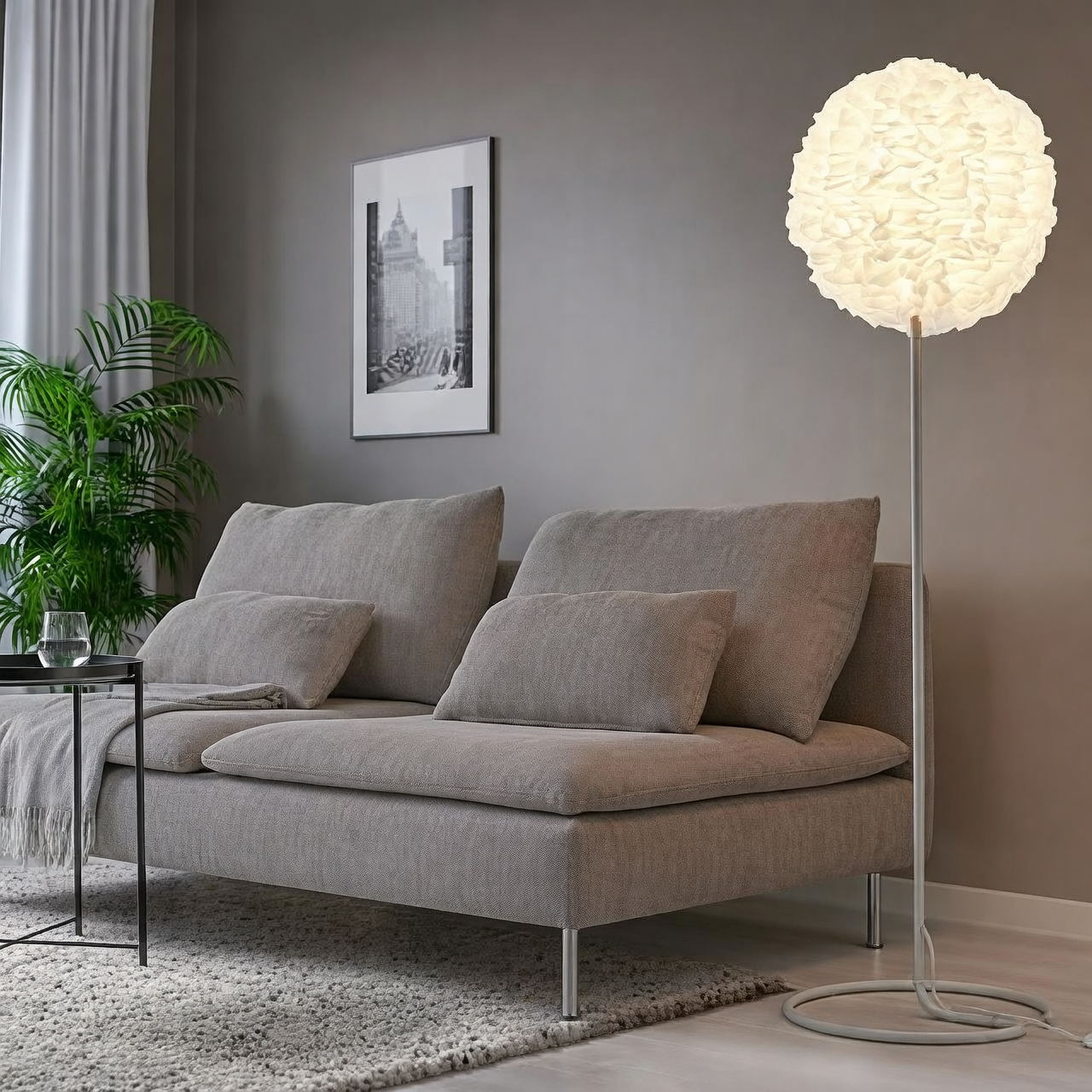 dieffenbachia by sofa floor lamp