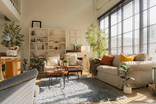 家有娃宠也能安心养？花叶万年青有毒真相与紧急处理SOP