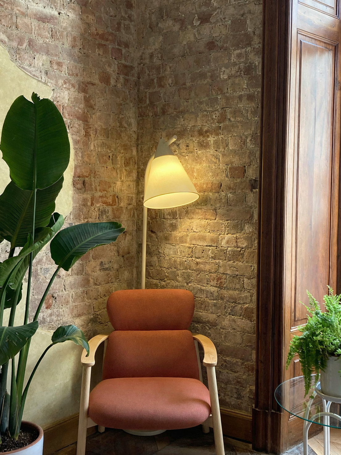 它真能“净化空气”吗？用科学为花叶万年青的功效正名