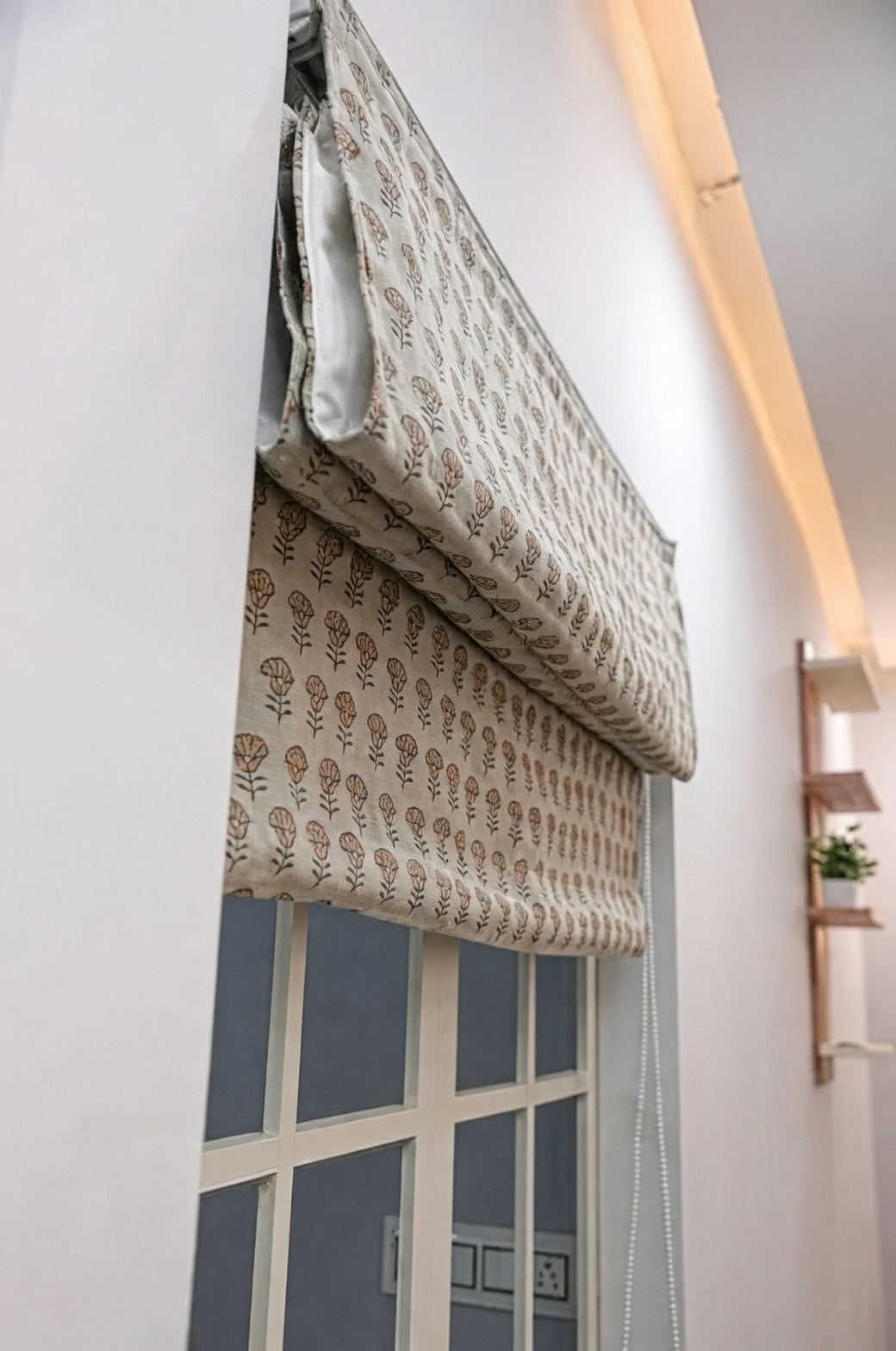 gloxinia shade cloth window