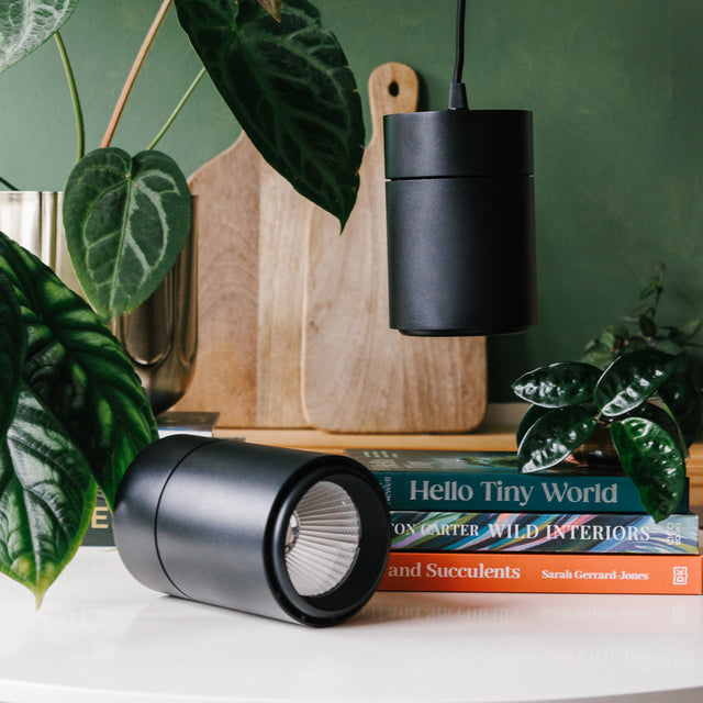 gloxinia LED rim light setup