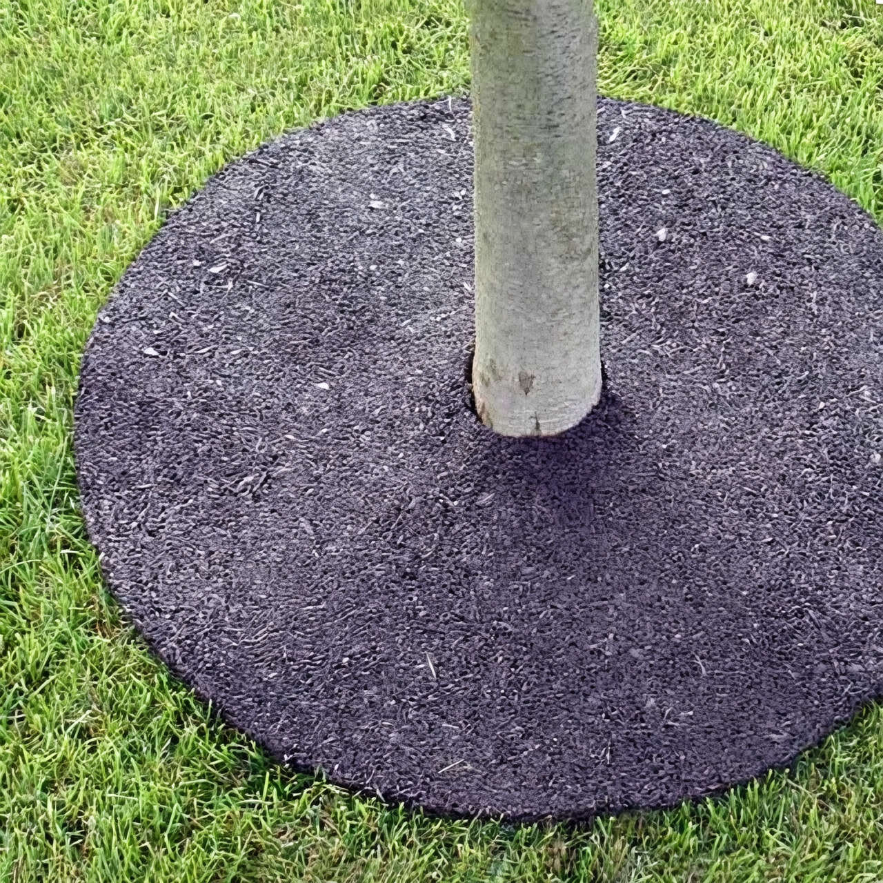 Japanese cornel mulch ring base