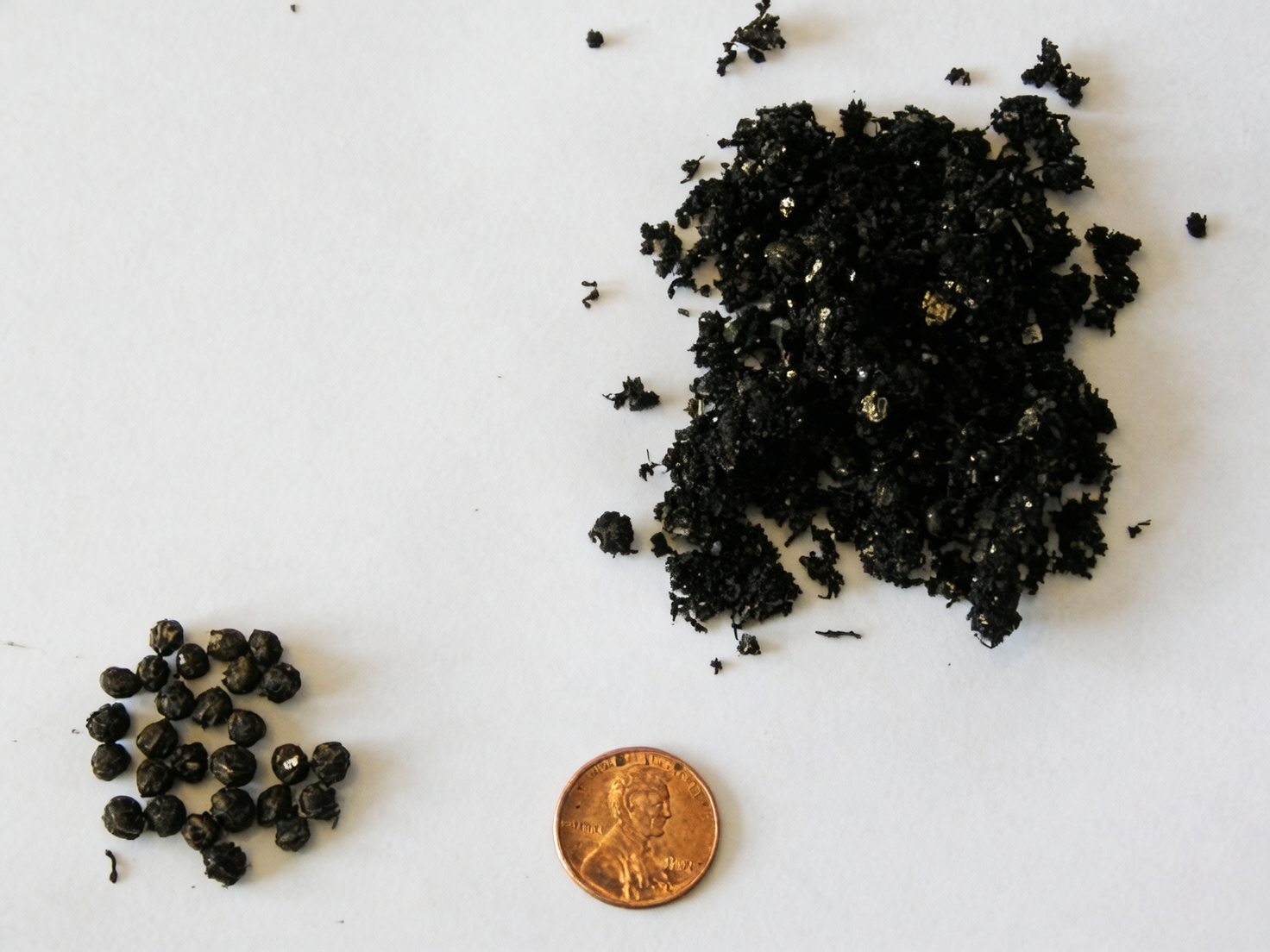 cornus officinalis seed cleaning water
