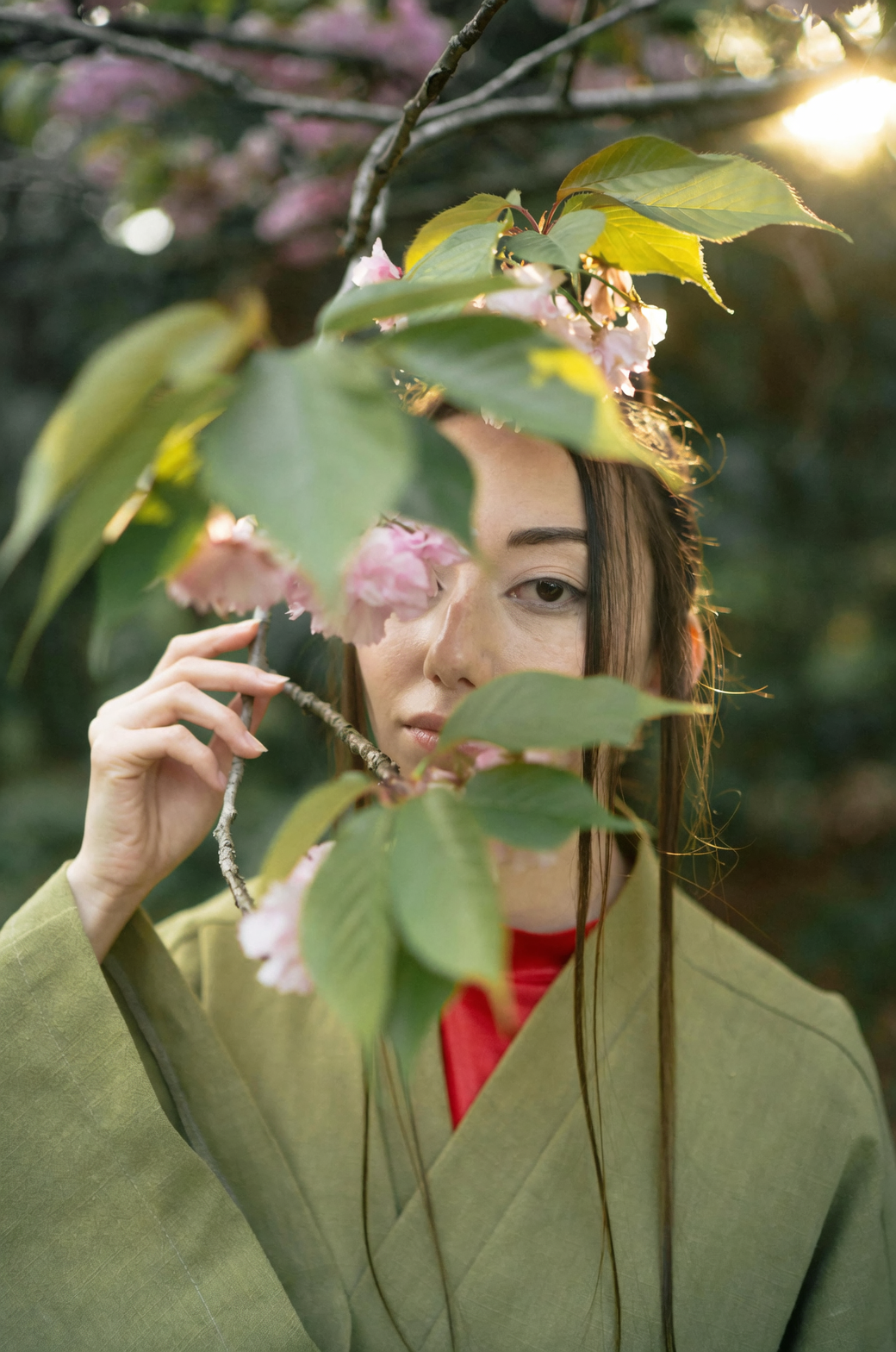 japanese cornel pruning after flowering