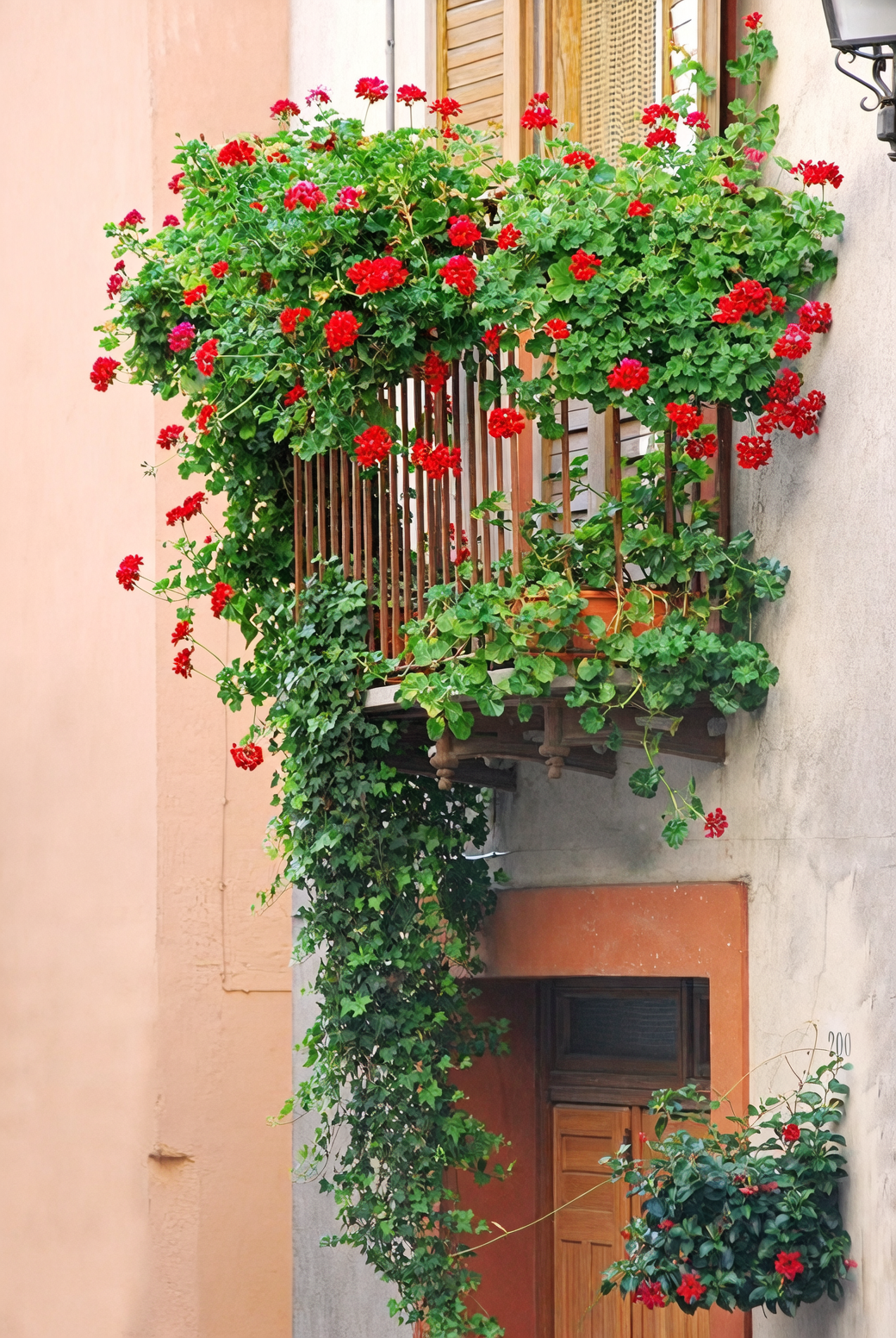 red geraniums European balcony railing