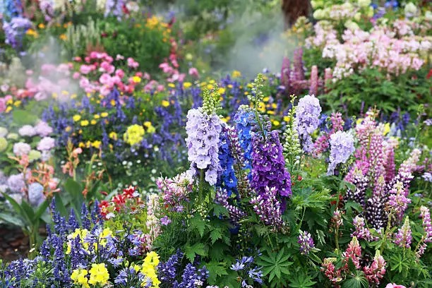 换盆=重启生长曲线：天竺葵土壤配方、排水层与盐分累积救援术