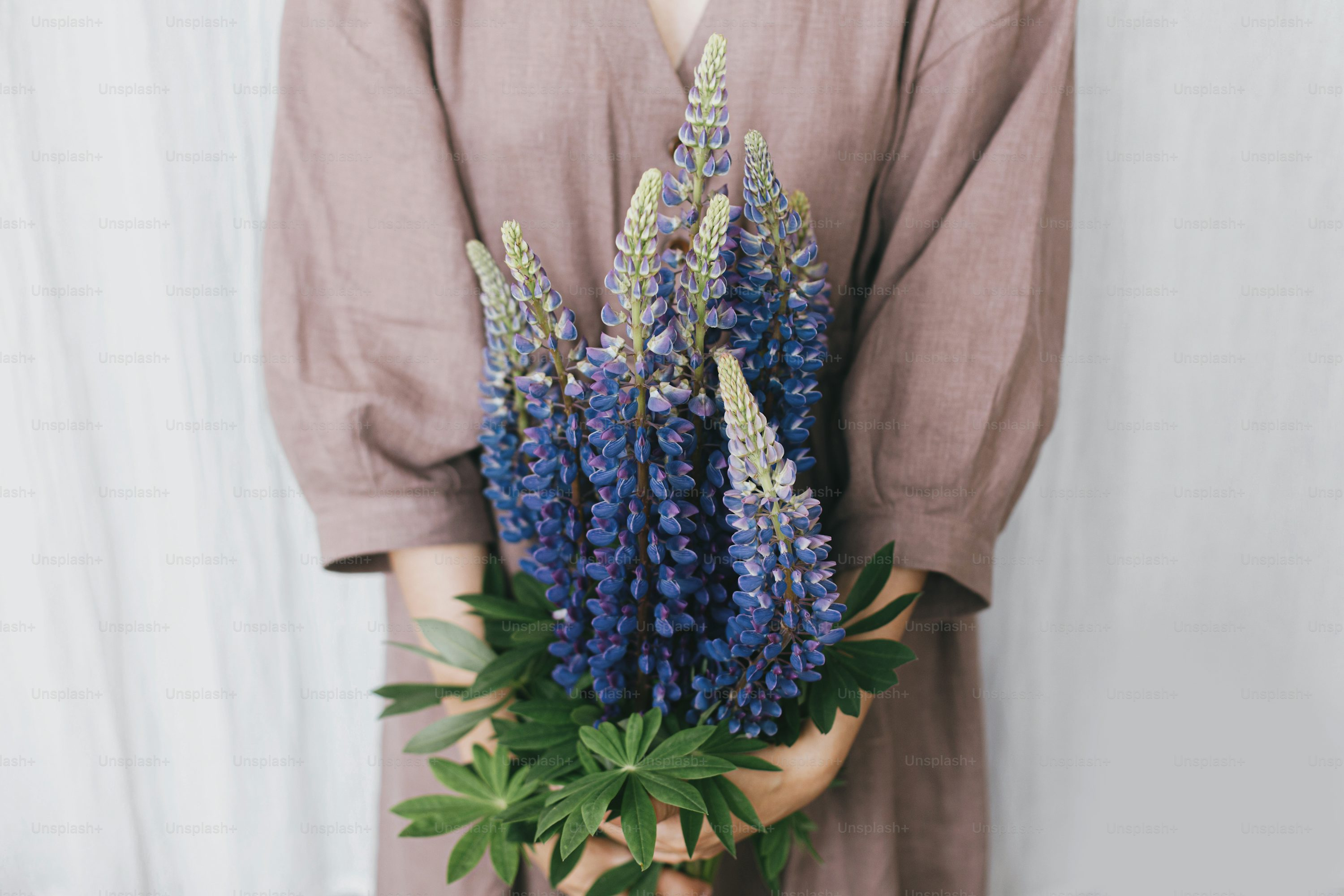 lupine bouquet in glass vase