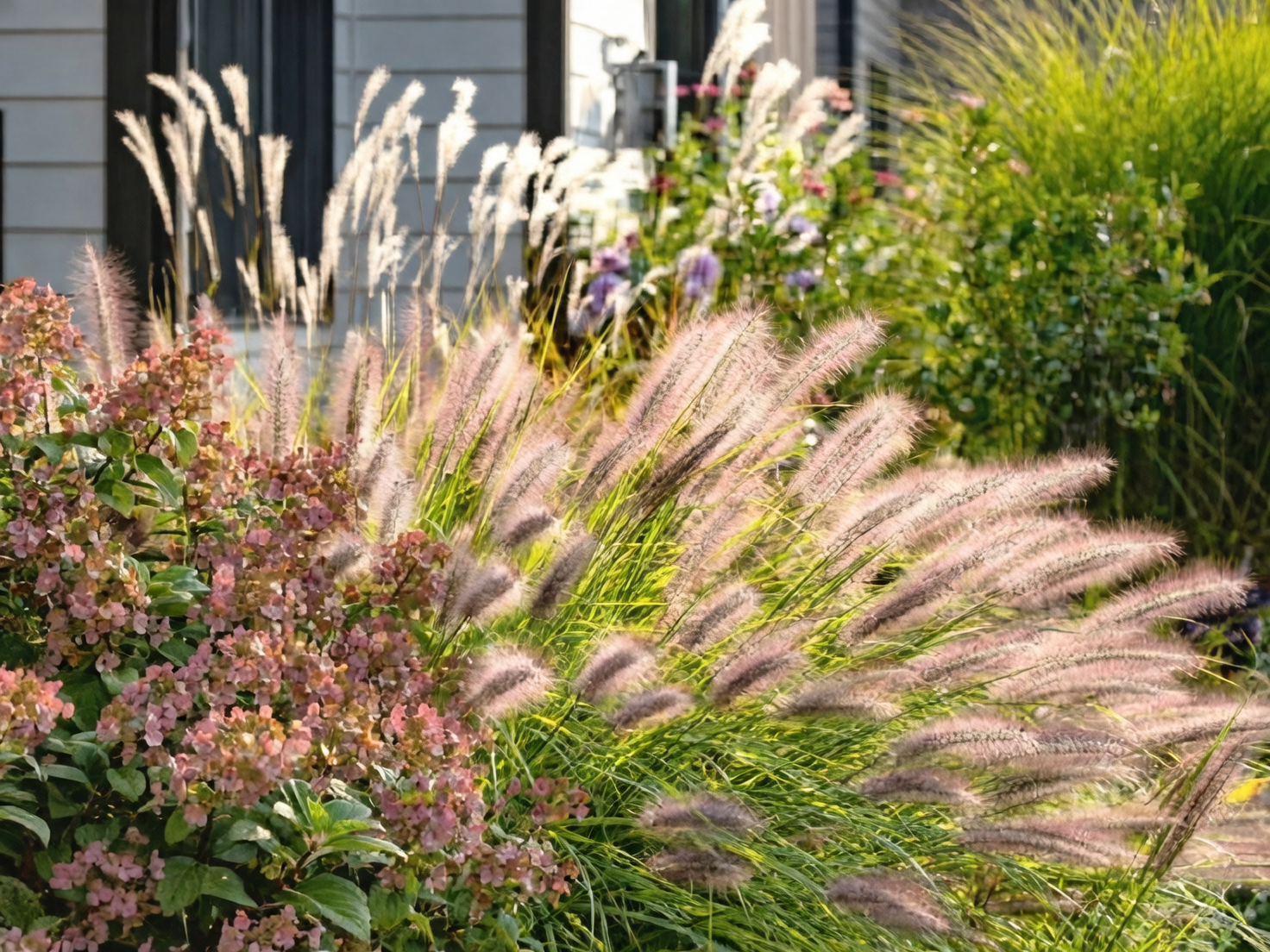 Companions for Color and Soil Health: Pairing Lupines with Roses, Grasses, and Pollinator Magnets