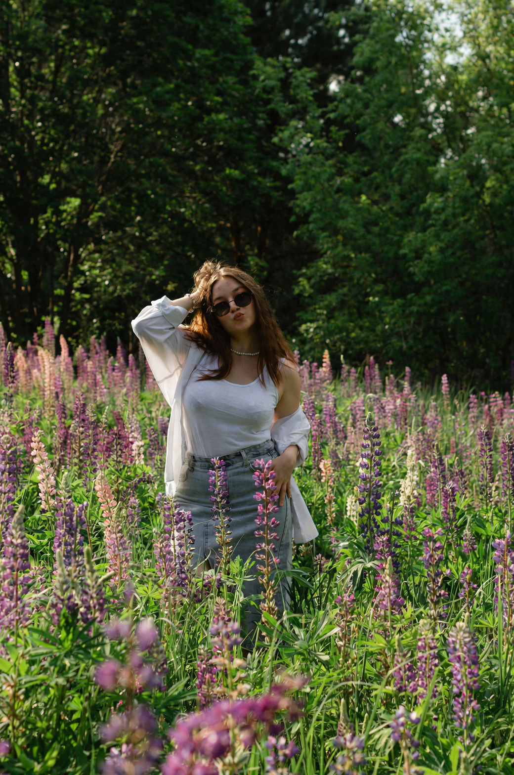 鲁冰花冷知识清单：为什么叶子像小扇子、土壤越“瘦”花越美？