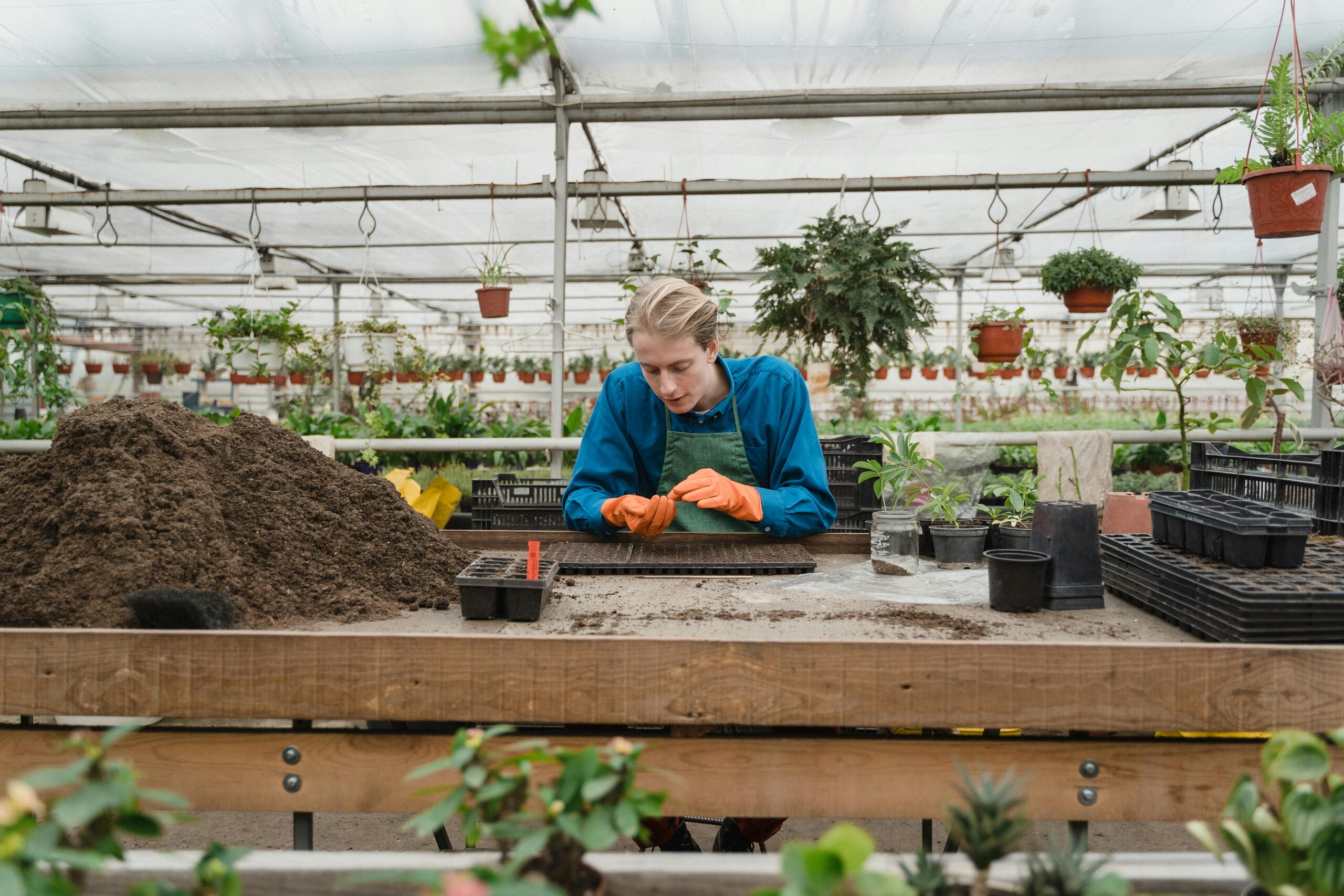 tools for plant propagation