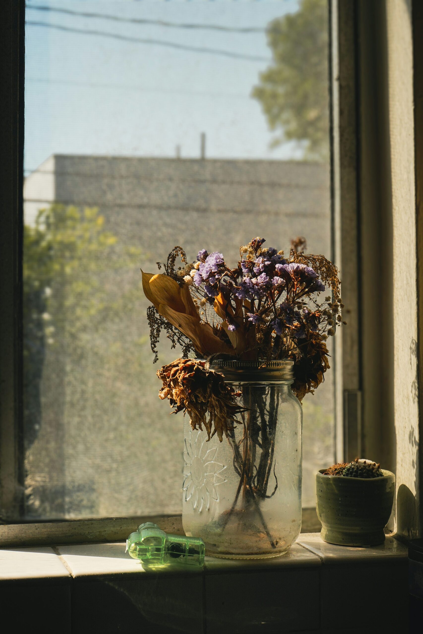 hydrangea vase drying window light
