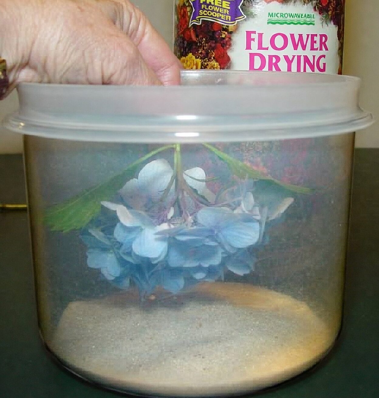 hydrangea silica gel drying container