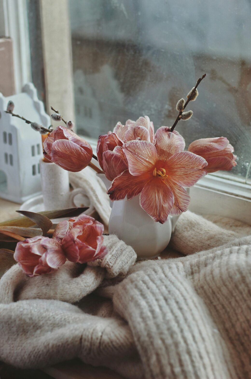 From Socotra to Your Windowsill: The Hybrid Adventure Behind Begonia × hiemalis