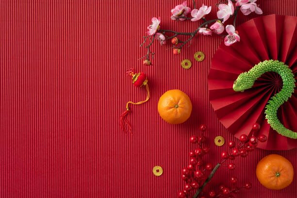 Rieger begonia Lunar New Year decor