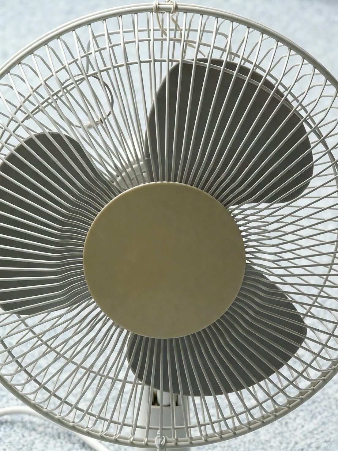 cymbidium airflow humidifier fan