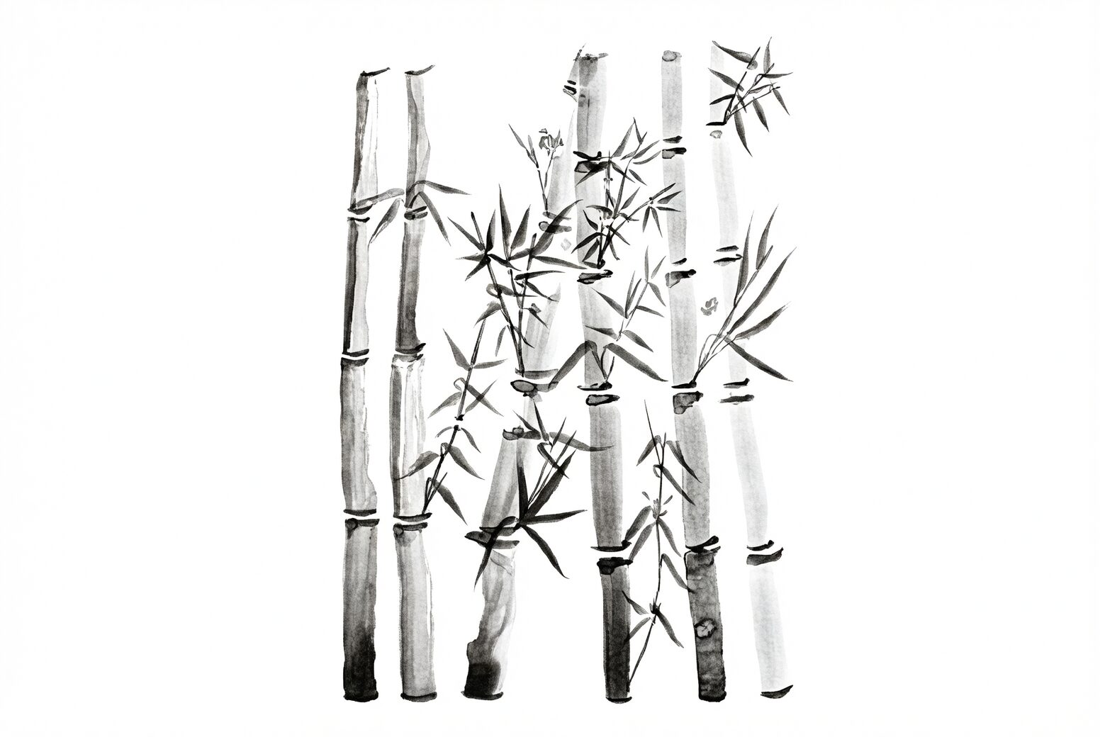 cymbidium ink brush painting scroll