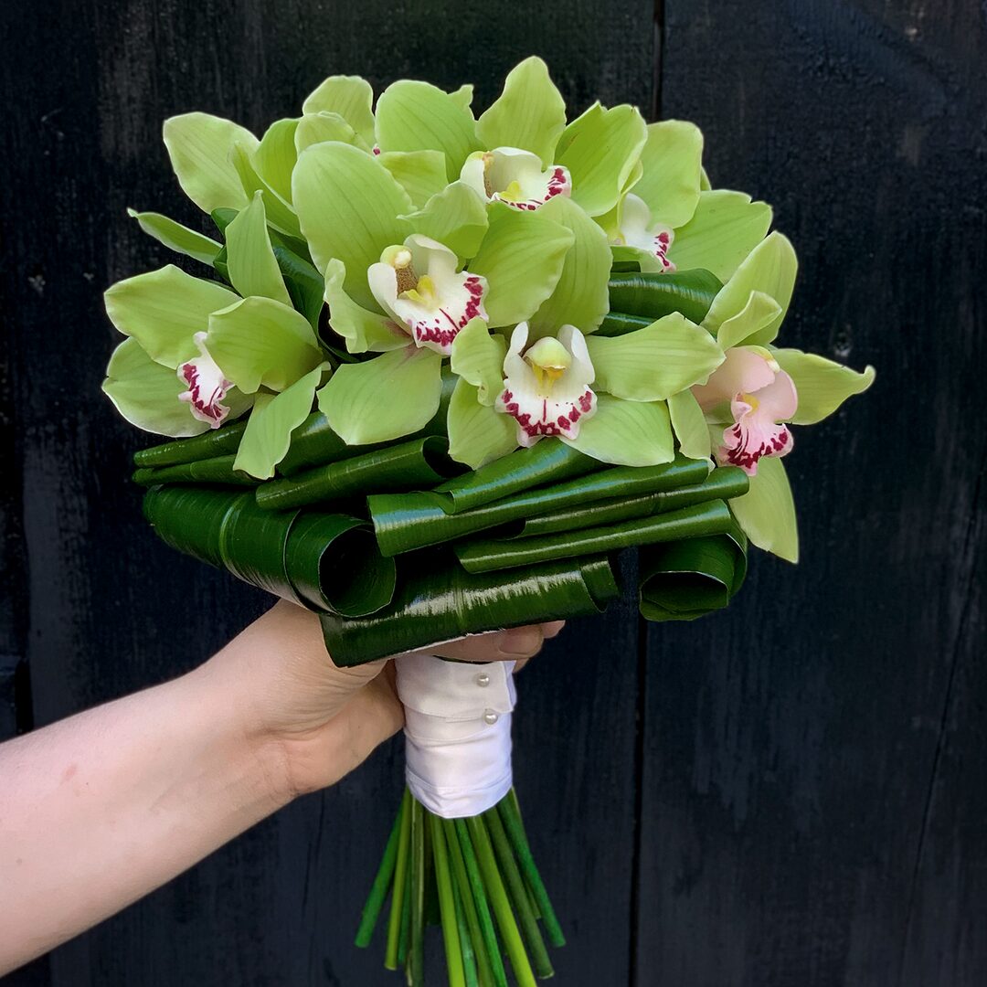 cymbidium orchid gift ribbon