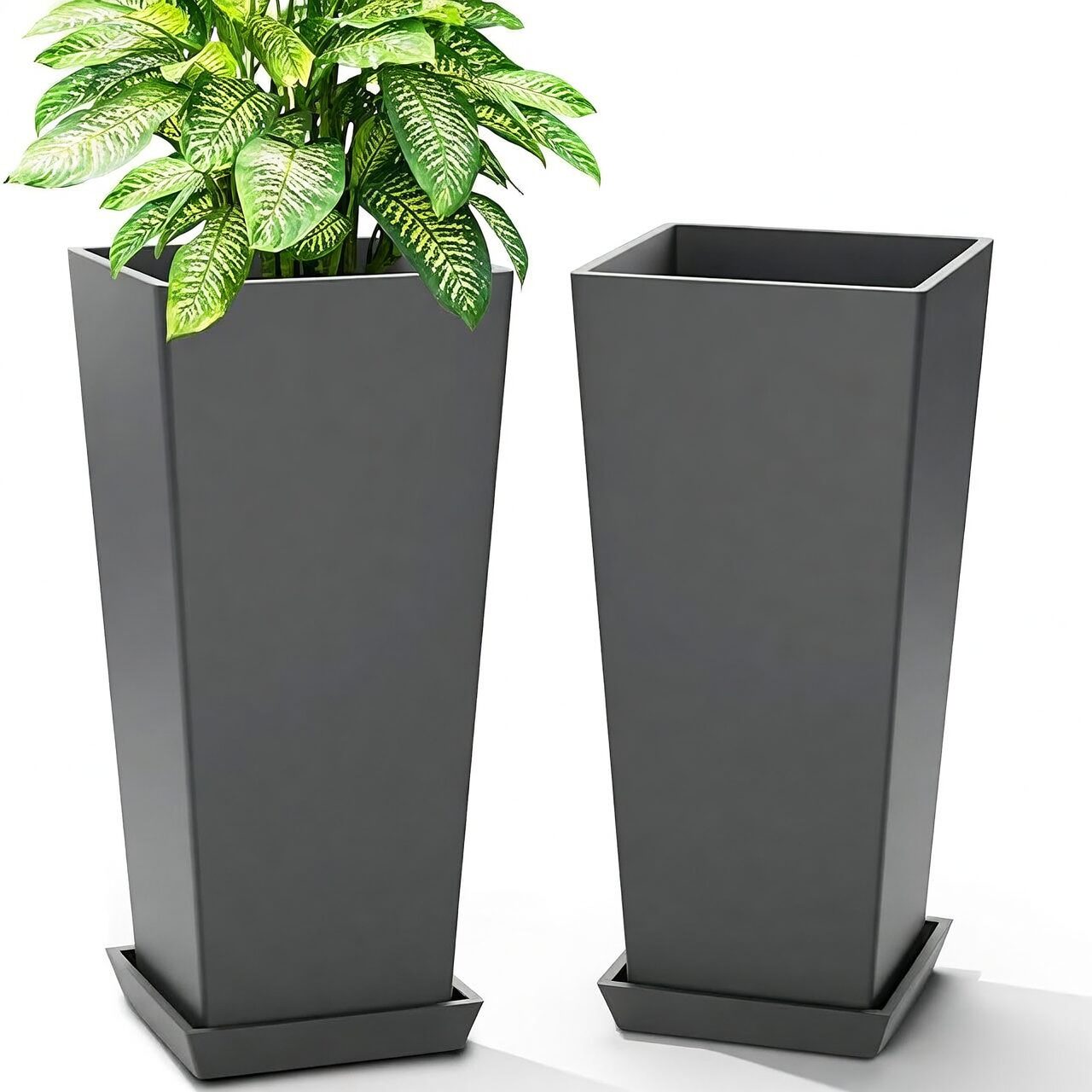 cymbidium tall pot drainage setup