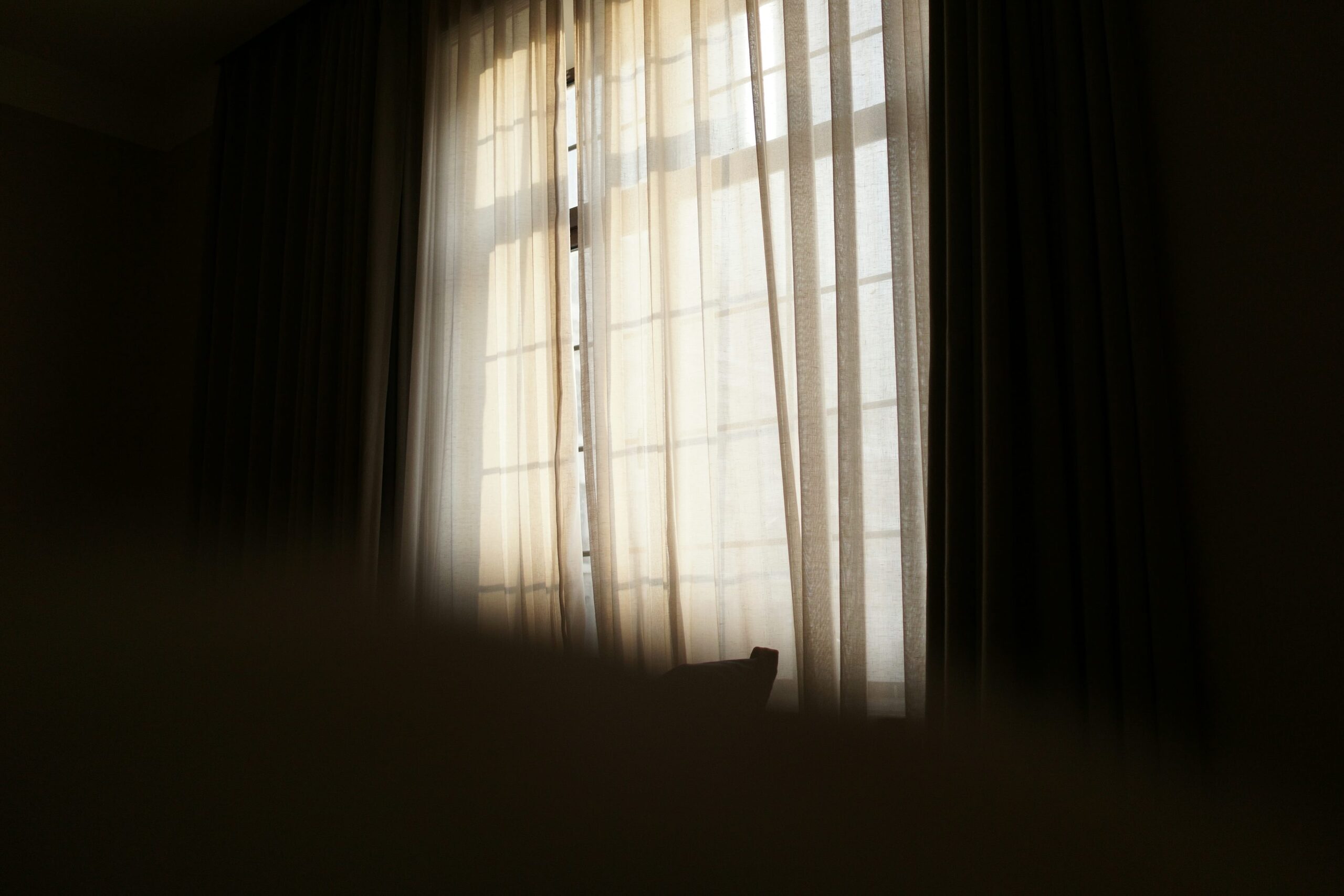 cymbidium east window sheer curtain