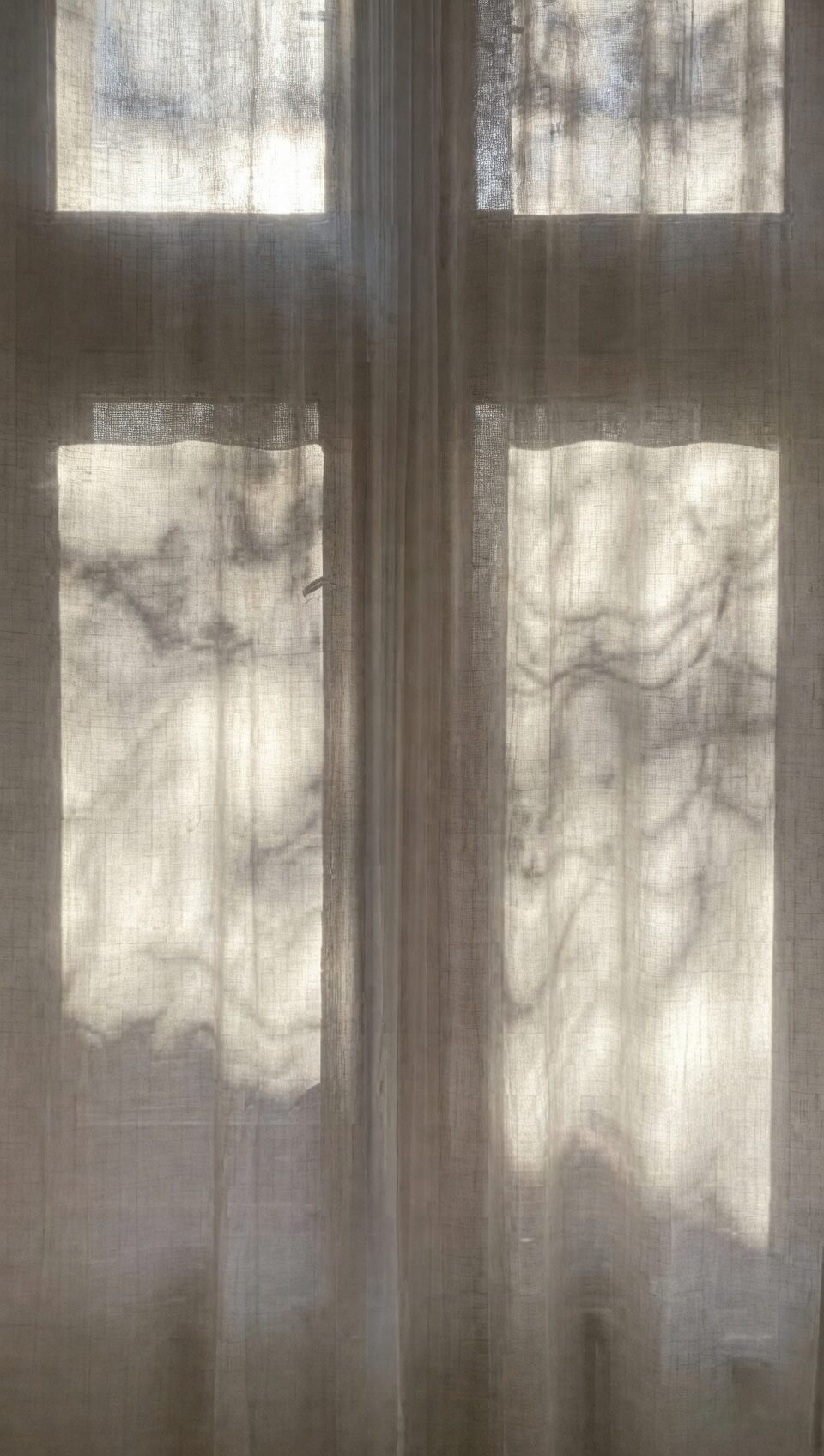 false aralia east window sheer curtain