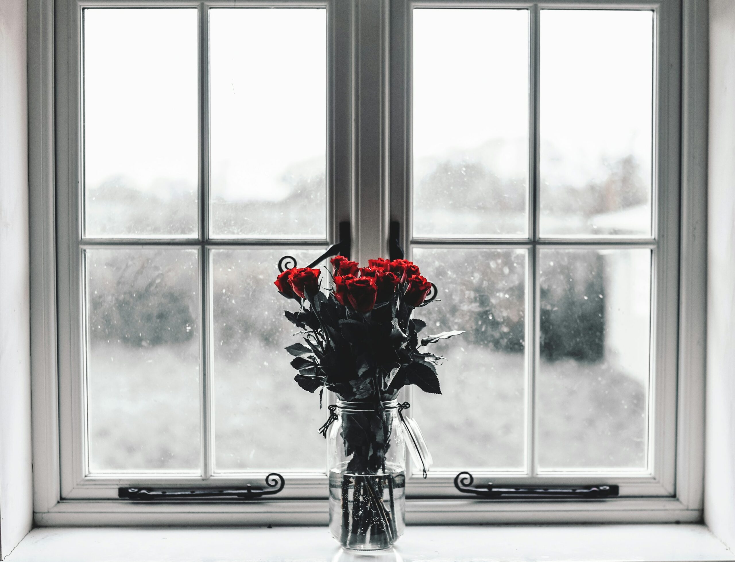 arrowhead vine cold window draft