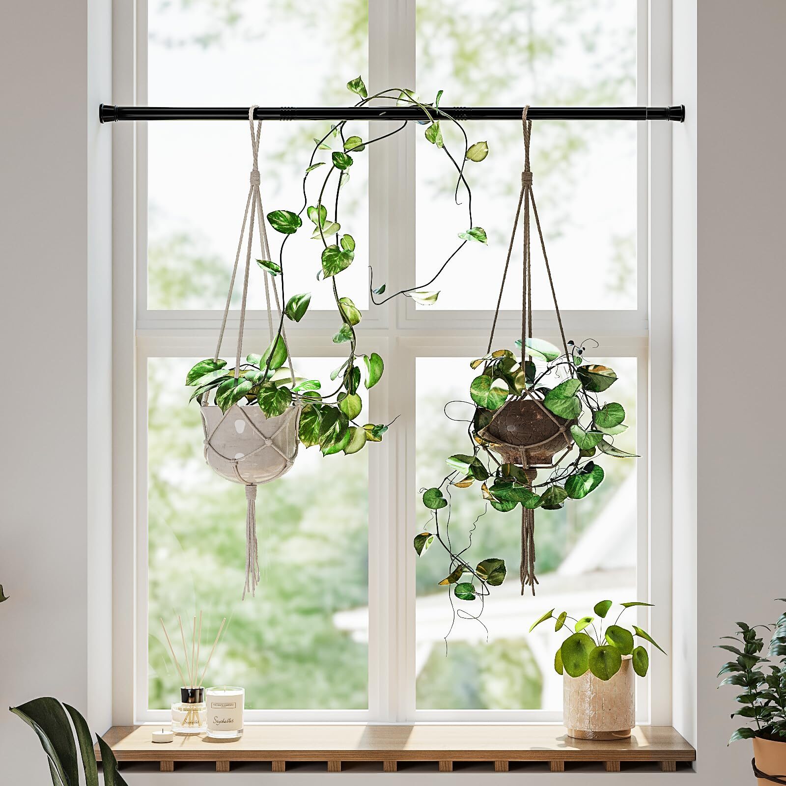 syngonium hanging basket kitchen window