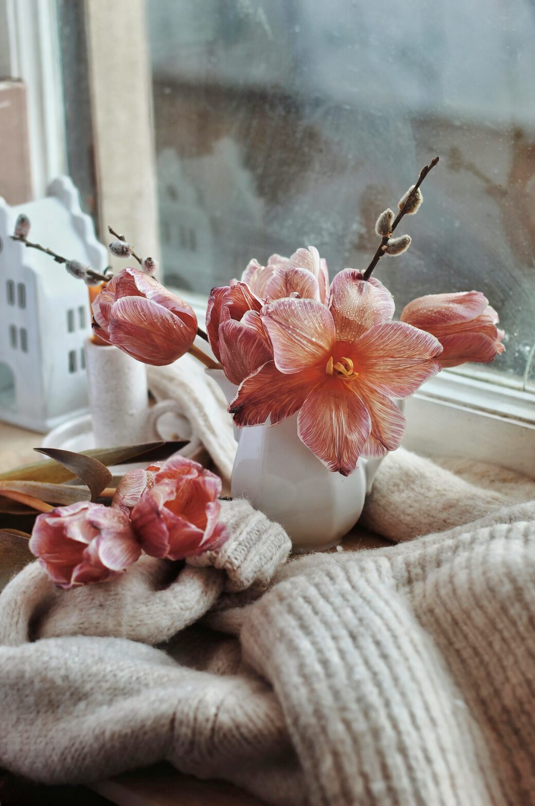 From Alpine Ancestors to Winter Fireworks: The Hybrid Tale of Primula × polyantha