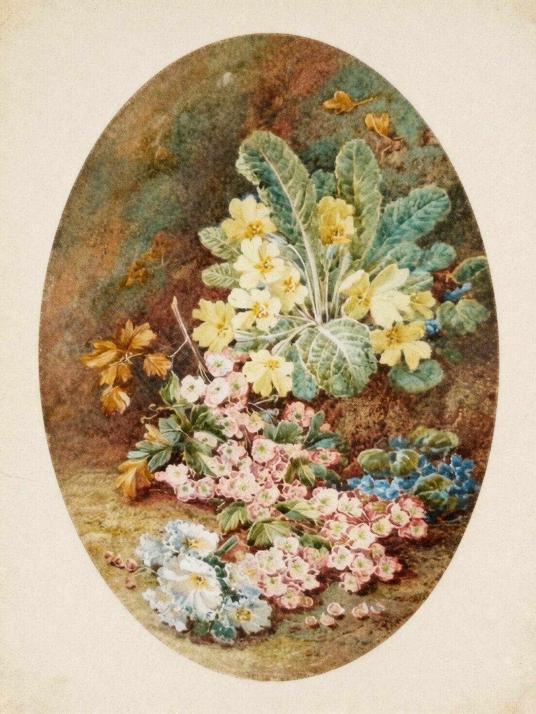 polyanthus primrose Victorian still life