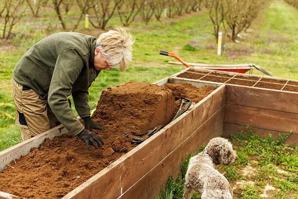 raised bed drainage layers soil