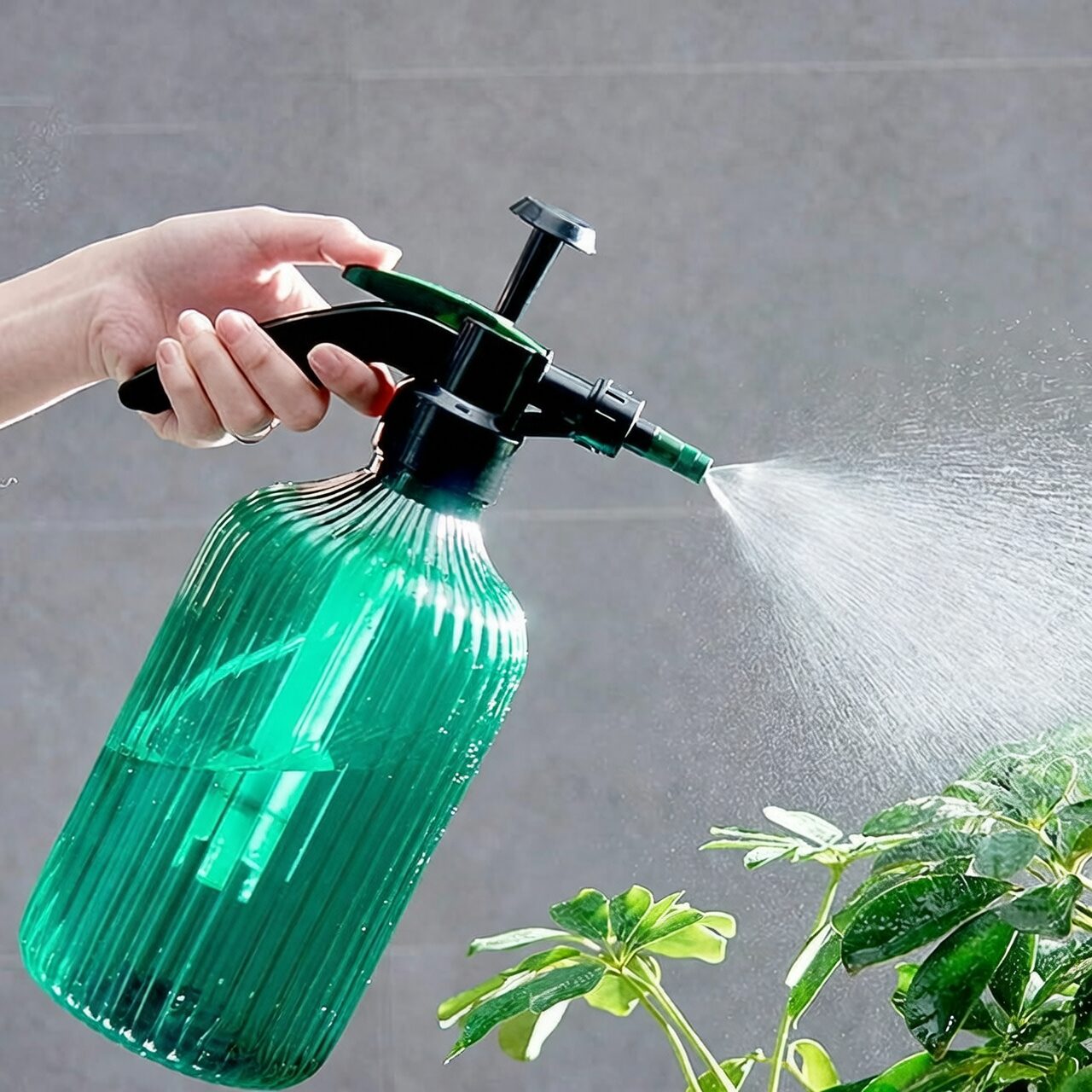 tillandsia misting spray bottle hand