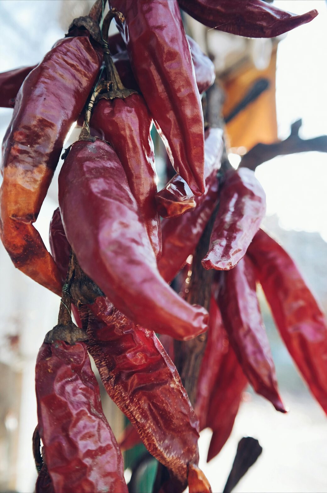 red chili pepper garland doorway