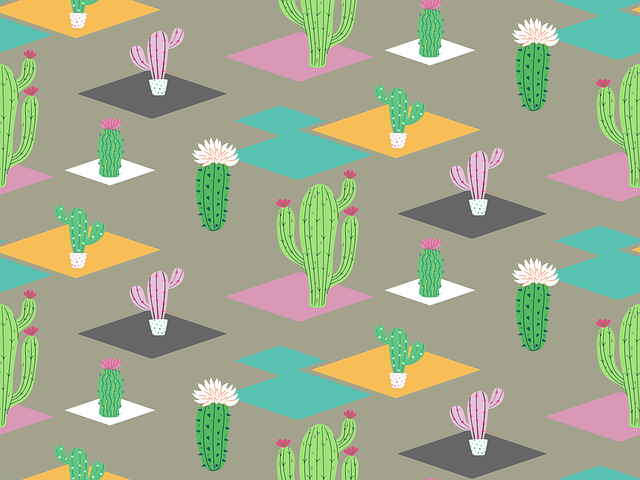 dunce cap succulent offsets division
