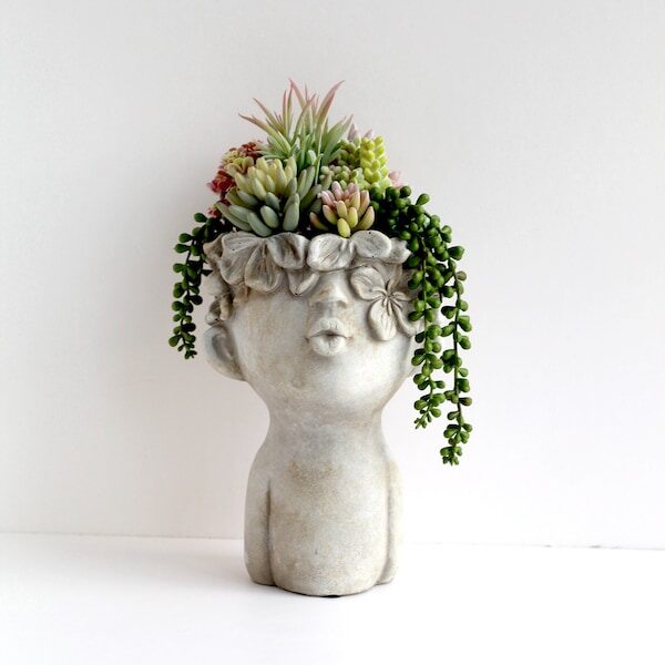 sedum rubrotinctum gift in hands
