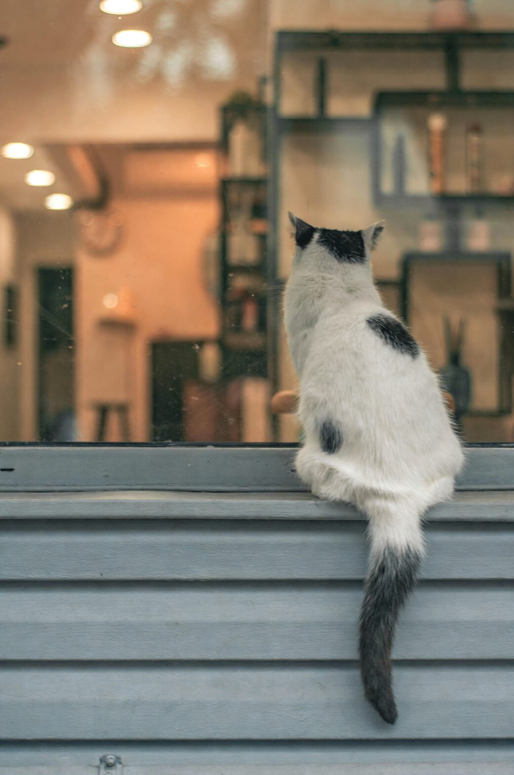 Pet Nibbler’s Guide: Is Pennywort Safe? Smart Ways to Keep Curious Paws Off