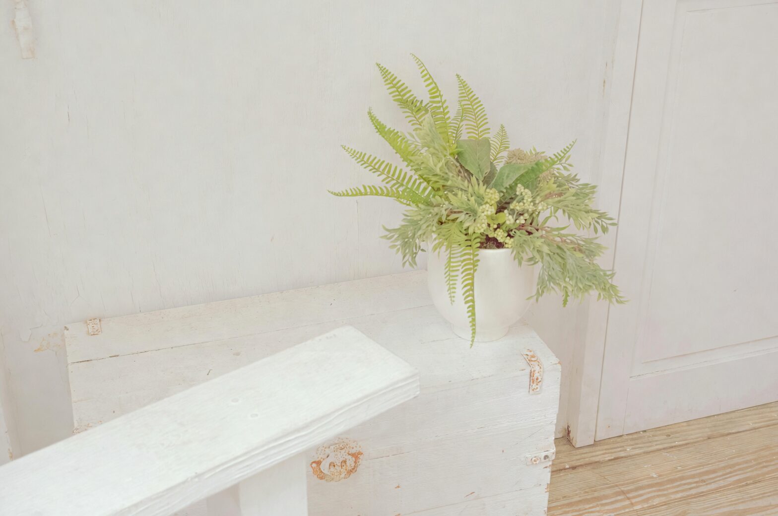 fuchsia with ferns Victorian interior