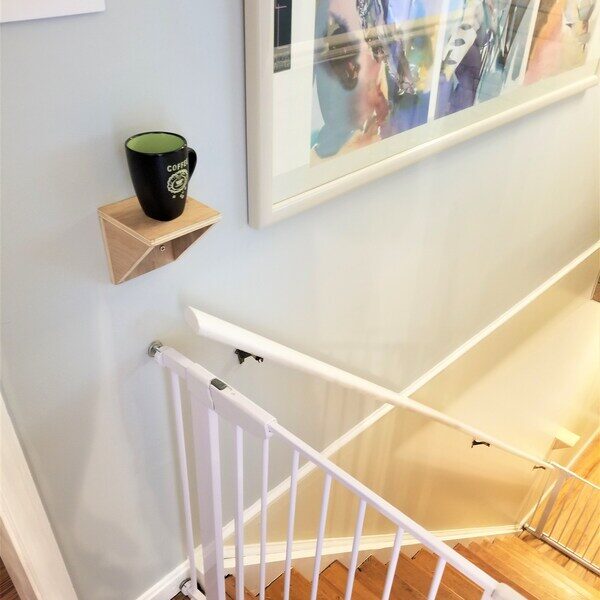 fittonia on wall shelf dog gate