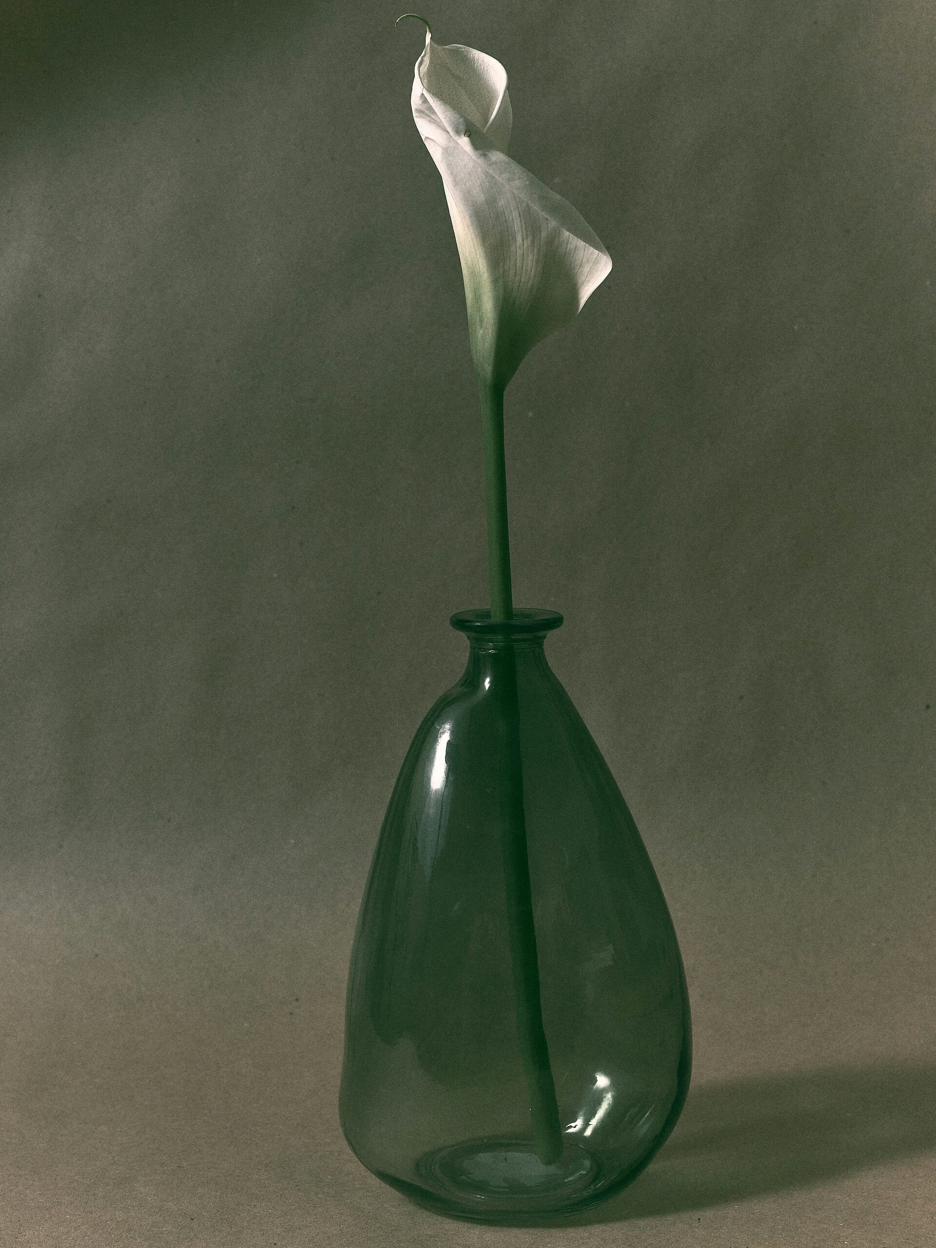 calla lily leaf washing sink