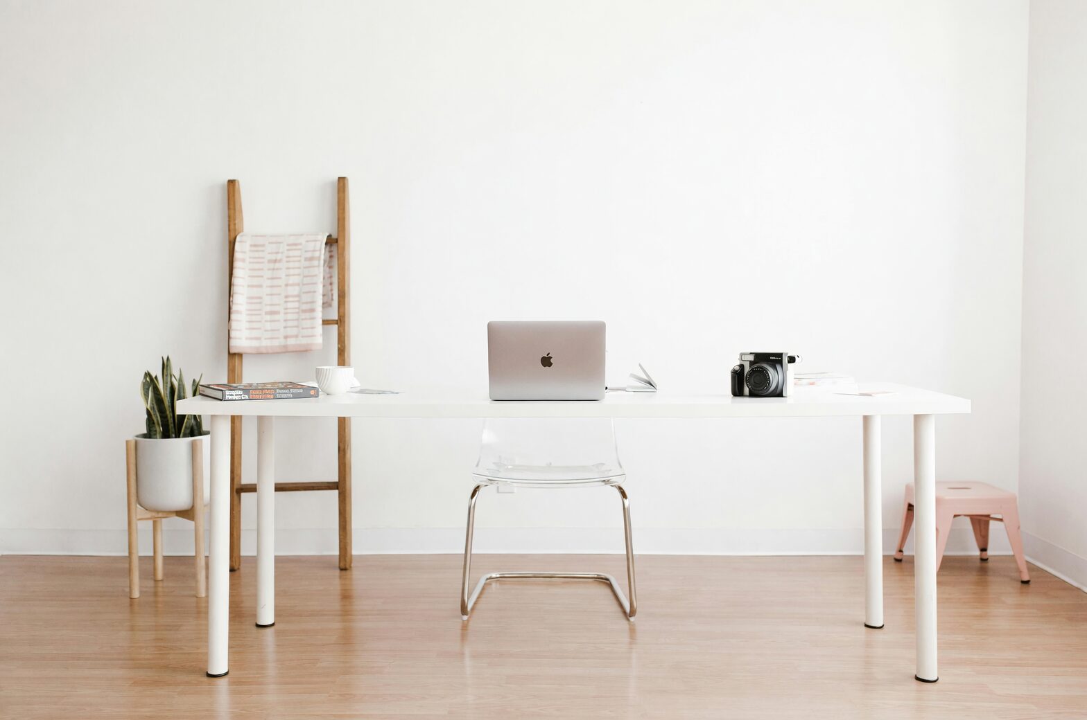 lucky bean plant mini desk and tall