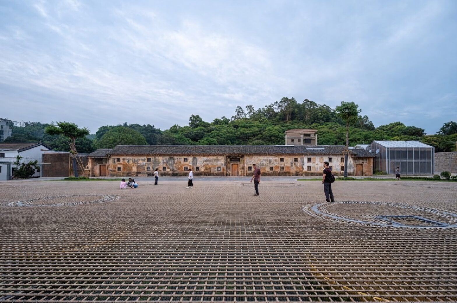 榕树的花语从哪来：‘生生不息与守护’的民俗记忆与风水寓意