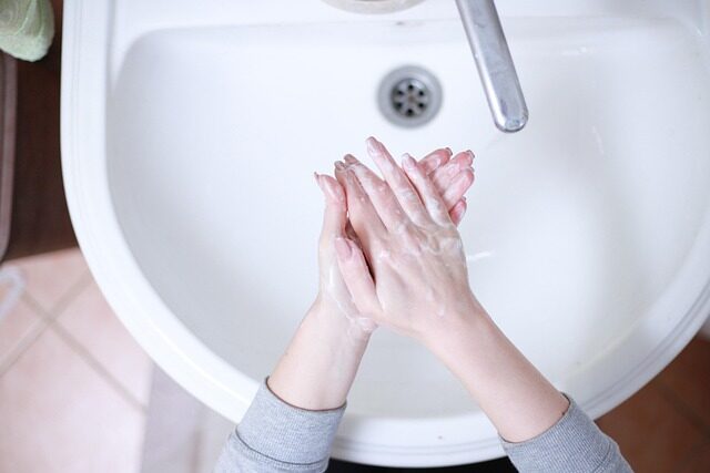 weeping fig sap hand washing sink