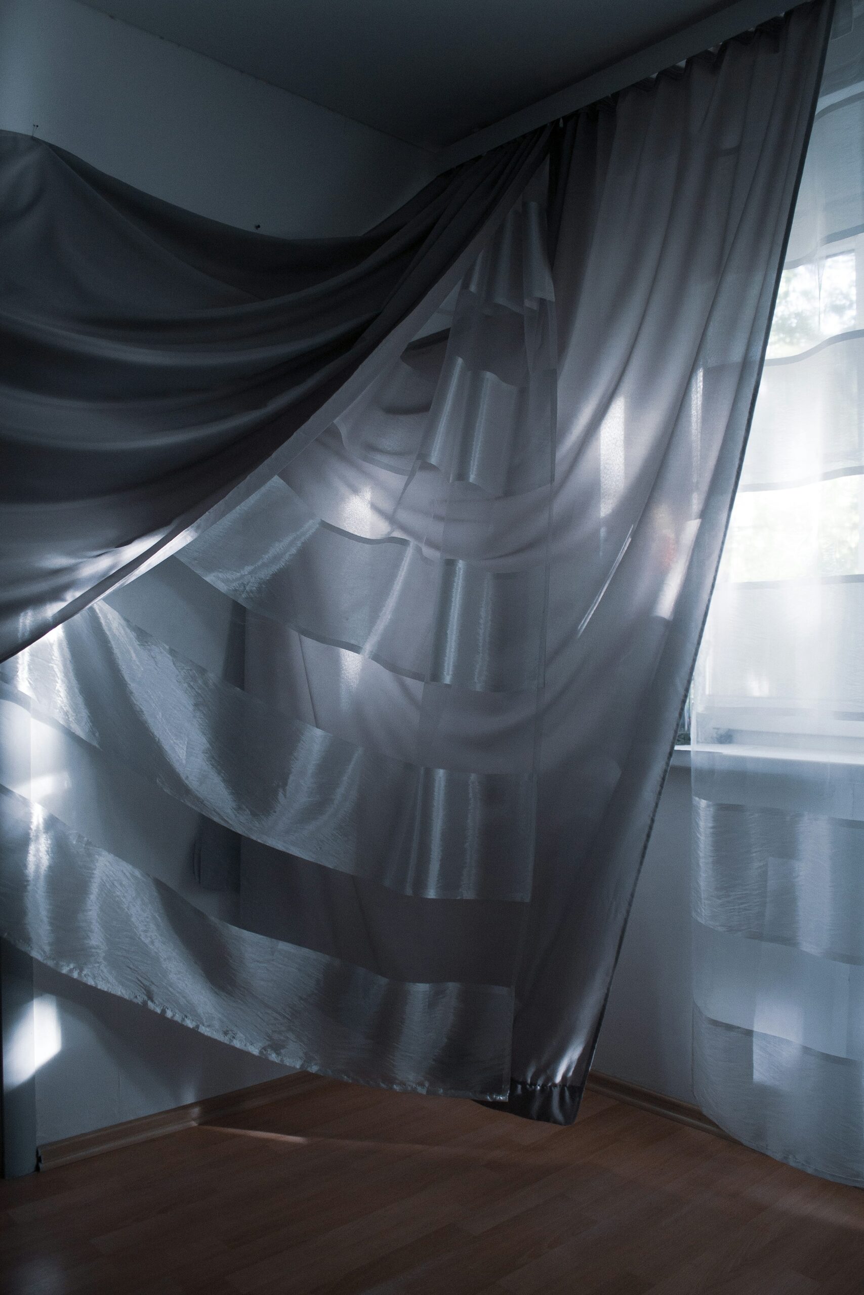 Pilea cadierei window sheer curtain