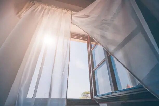maidenhair fern bright window sheer curtain