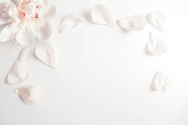 Chinese peony petal pancakes