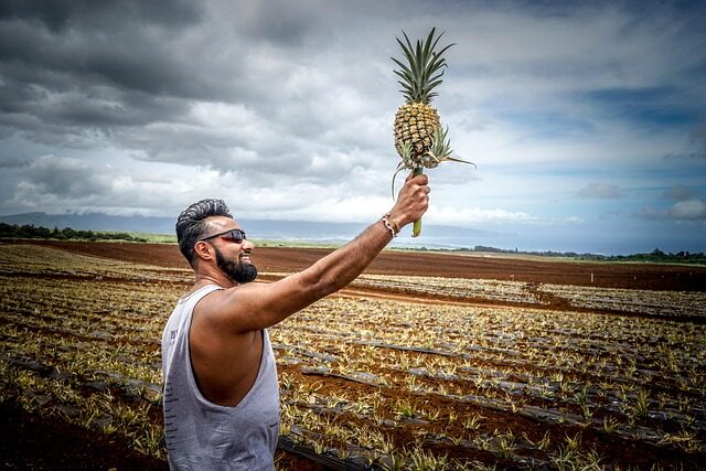 pineapple field South America river valley